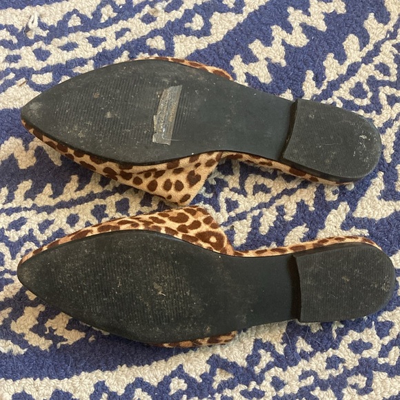 Steve Madden Leopard Flats - Picture 2 of 5